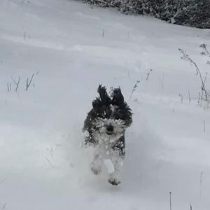 Meet your Posher, Michele